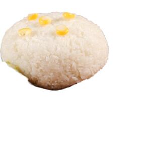 朱福华新奥腿排 汉堡腿排 奥尔良鸡排 鸡腿肉排 汉堡肉950g/10片