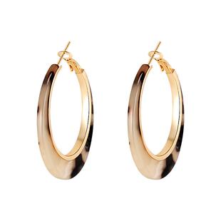 许我耀眼赵露思许妍同款玳瑁耳环女2025年新款耳圈气质大圈圈耳饰