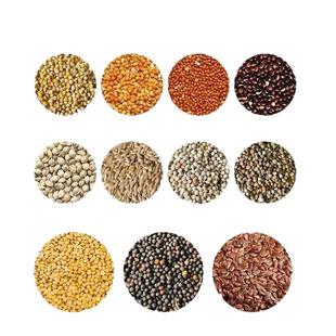 纸壳麻子小瓜油葵加纳利子红花籽小太阳和尚牡丹自配粮鹦鹉鸟粮食