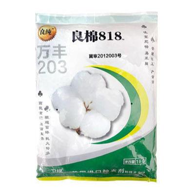 棉花种籽高产杂交种植种孑种子