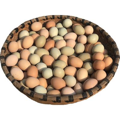 林下散养破损包赔只发当日鲜蛋