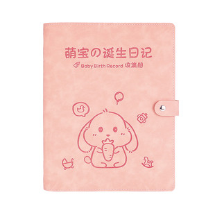 孕检收纳册产检收纳册马宝宝孕妇b超检查单子资料收纳袋宝宝孕期档案册孕妈妈怀孕记录册活页报告单产检本册