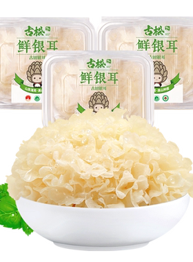 古松新鲜银耳现采现发顺丰发货