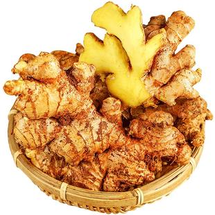 现挖正宗小黄姜5斤新鲜生姜老姜高山小黄老姜月子姜老姜罗平干姜
