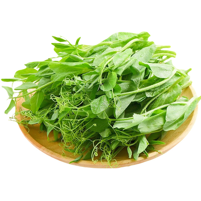 四川豌豆尖新鲜豌豆苗