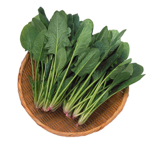 秋季冬季蔬菜种子大全菠菜香菜小白菜籽韭菜四季生菜种孑葱青菜籽