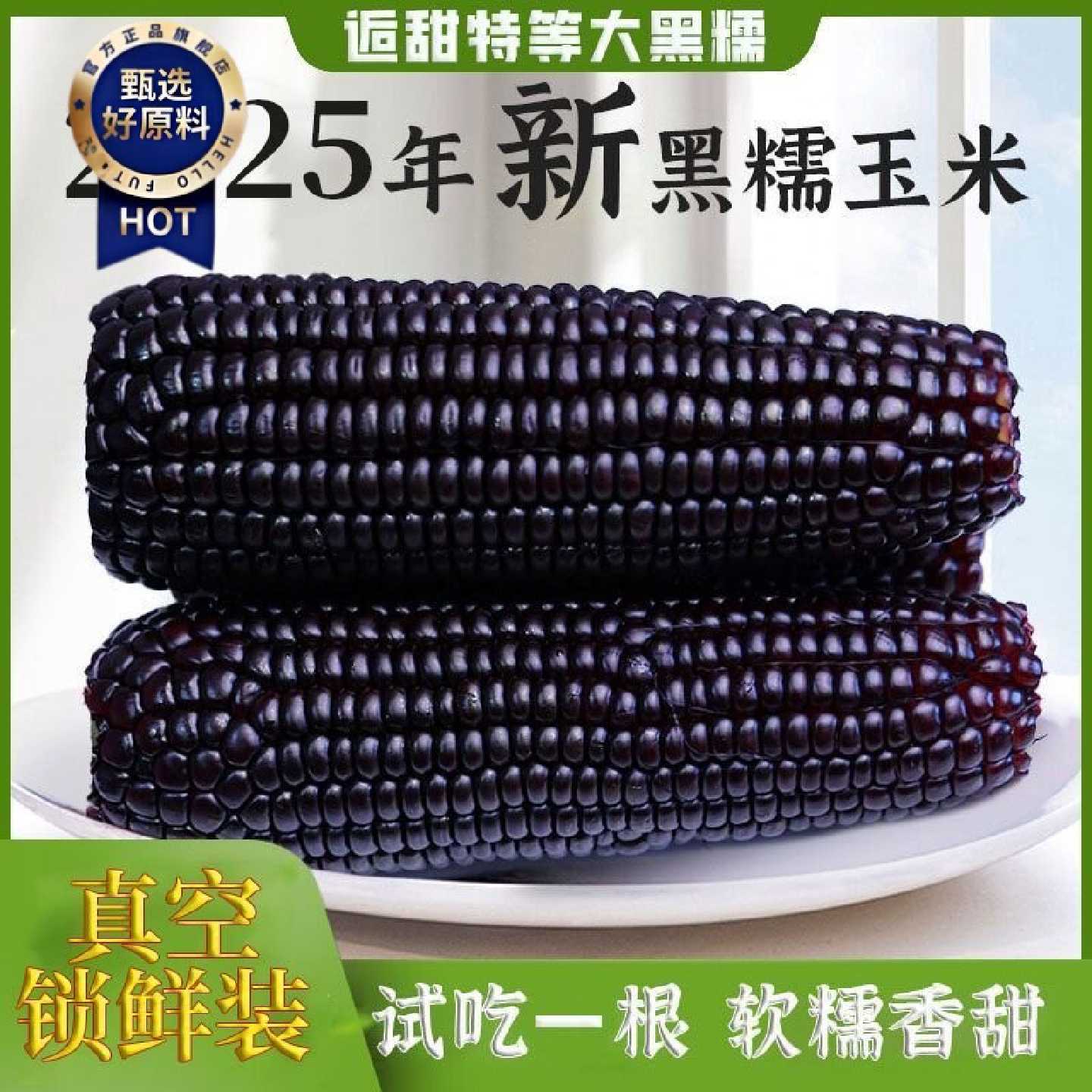 25年头茬黑糯玉米正宗真空包装苞米新鲜低脂粗粮早餐即食真空代餐