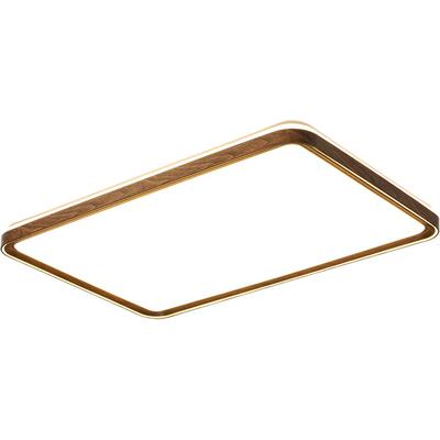 箭牌超亮大屏发光新款客厅吸顶灯