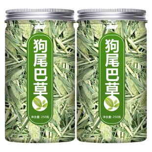 狗尾巴草中药材的功效新鲜光明草毛虫草谷莠子狗尾九尾草500g点痣