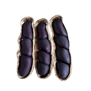 云南黑皮花生黑带壳富硒花生小粒原味甜黑皮种籽普洱特产2025新货