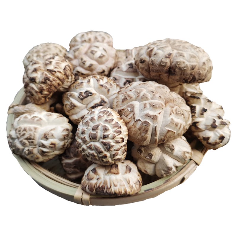 真正的椴木菇不是冒充的神农架房县野外生椴木花菇干货冬菇500g