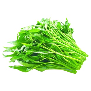 三叉空心菜种子通心菜种籽四季高产阳台盆栽大叶青菜籽种蔬菜种孑