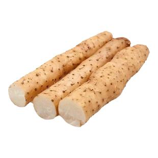 鲜温县垆土地山药28厘米35厘米 怀山药 铁棍山药自家种植产地直发