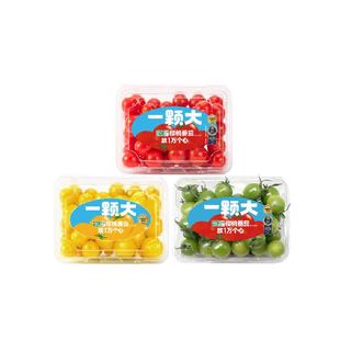 【一颗大】多彩宝石樱桃番茄精品粒装小西红柿香甜爆汁