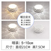 （Concealed）5W three -color warm light+white light φ21cm