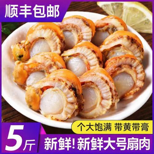 顺丰发货新鲜大号扇贝肉海捕扇贝海鲜瑶柱海鲜水产带冰保鲜