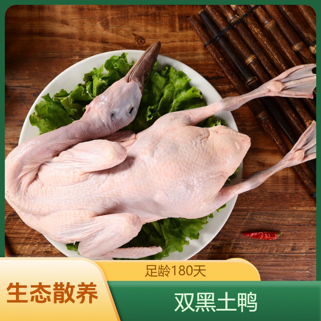 【双黑土鸭】生态放180天老鸭 富含氨基酸和微量元素 不油不腥.