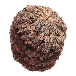 帽子女蕾丝帽遮白发帽女头巾帽包头老年新款休闲妈妈帽时尚美人帽