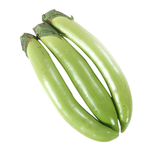 青茄子种子种籽苗菜苗幼苗蔬菜孑四季长茄子茄苗秧大全秧苗春季