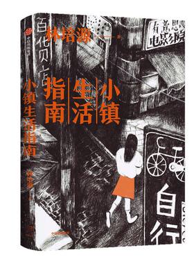 小镇生活指南 林培源 著 亚洲周刊2020年度十大小说 中国南方 潮汕 越南新娘 单亲妈妈 失孤父母 自由和安居 中信出版社图书 正版