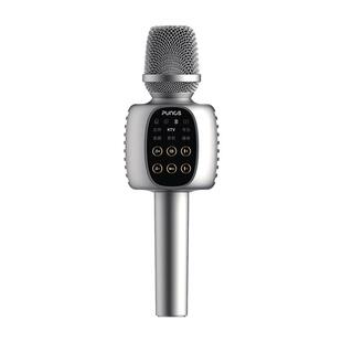 博浪沙话筒音响一体麦克风户外家用K歌无线音箱声卡唱歌KTV直播用