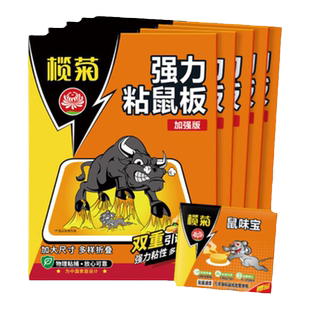 榄菊粘鼠板强力胶粘大老鼠家用老鼠贴老鼠粘强力粘鼠板超强加大