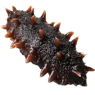 海参大连即食海参辽刺参鲜活野生辽参刺参淡干礼盒装海参旗舰店