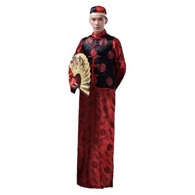 古装清朝王爷少爷贝勒爷贝勒爷