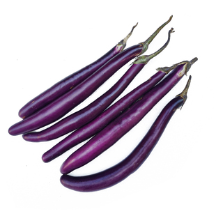 新鲜茄子 线茄子细长小茄子福建农家现摘茄瓜蔬菜1-5斤