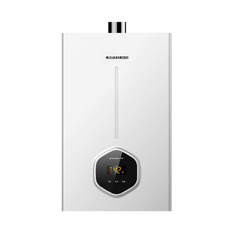 前锋【小海豚Pro】B01RZ燃气热水器13/16升家用恒温节能热水器