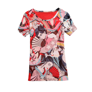 女士纱网打底2025夏装中国风印花t恤半袖女设计感小众网纱上衣