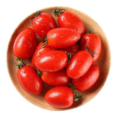 番茄RedCherryTomatoes