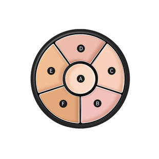 ZFC六色遮瑕膏裸妆自然无痕持妆修容遮黑眼圈痘印雀斑疤痕粉底膏