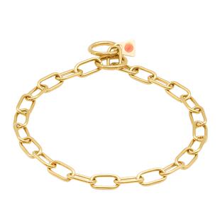 德国DEAN TYLER 纯铜黄铜中短长节P链长毛犬狗套狗项圈狗圈脖圈