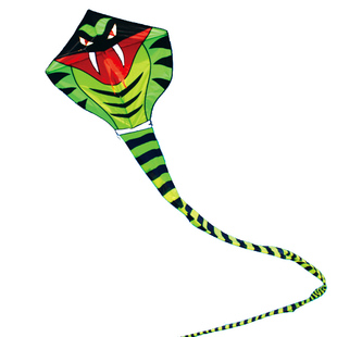 百特风筝青蛇长蛇风筝长尾易飞新款大型壮观成人初学者风筝保飞