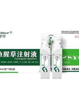 兽用鱼腥草注射液针剂母猪母牛羊
