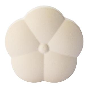 安雅猫粮干燥石防虫防潮硅藻土块食物零食干货收纳储存除湿防霉剂