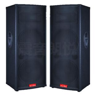 震音朗悦 双15寸大型家用蓝牙音响k歌户外舞台演出婚庆音箱重低音