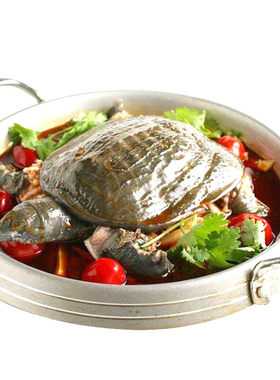 千岛湖鲜活老鳖食用外塘生态甲鱼