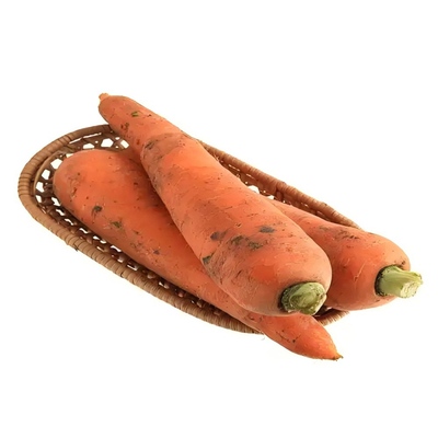 新鲜红胡萝卜沙土地新鲜蔬菜水果红萝卜现挖现发农家自种胡萝卜