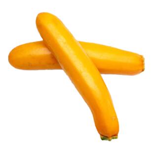 VGBB黄节瓜 Yellow Zucchini  2pcs ( 580 ~ 680 g )