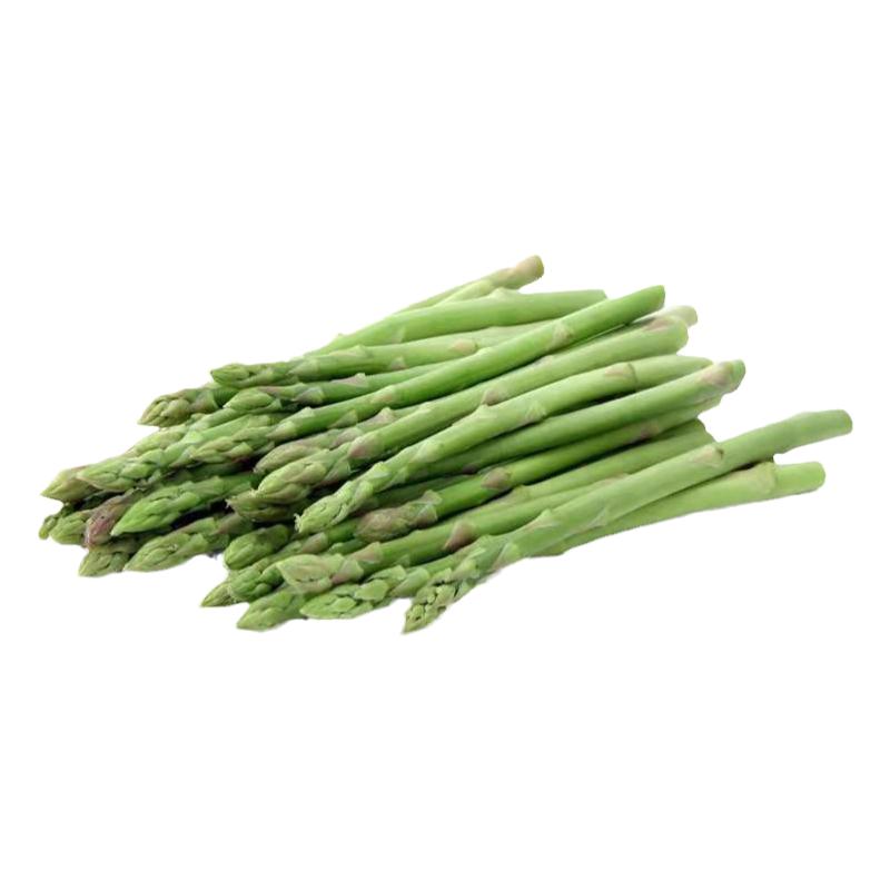 芦笋根苗盆栽菜园包成活多年生