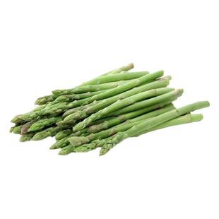 芦笋苗根绿色苗紫色芦笋苗种四季蔬菜苗盆栽阳台盆栽多年生