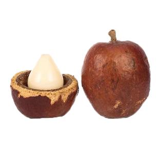 精品佛心果菩提子原籽料大果号彩色黄红皮老果吊坠成品粉色菩提果