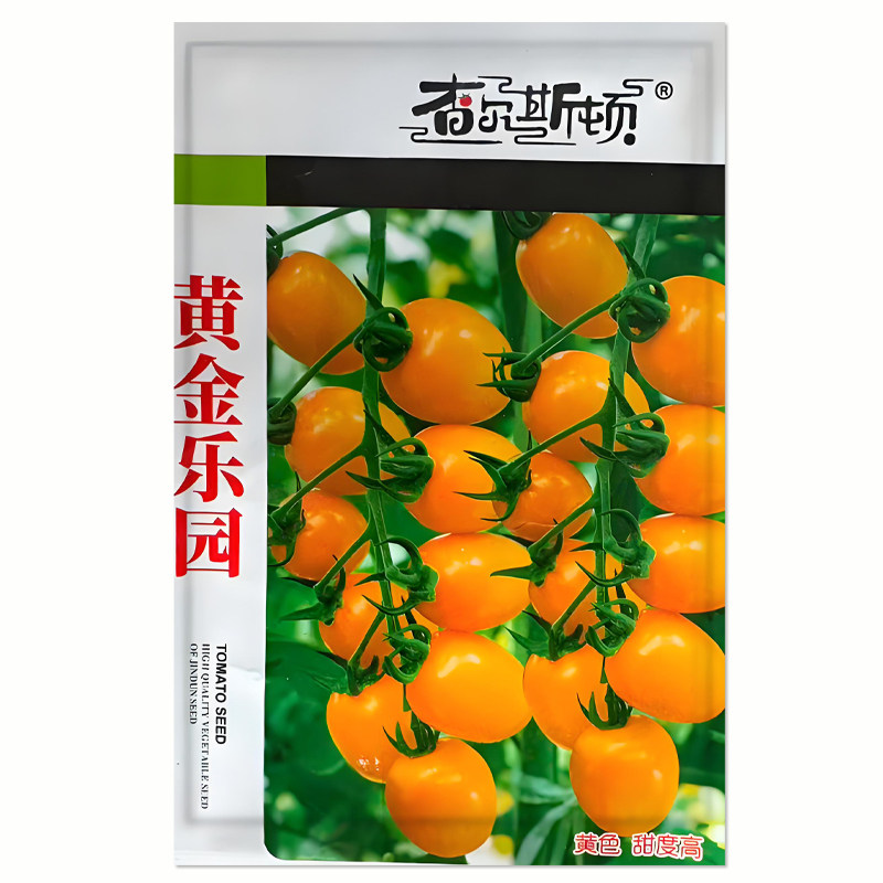 黄金乐园番茄种子高产易种