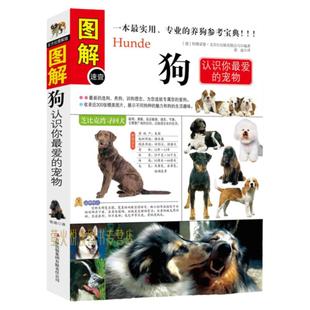 包邮正版 图解狗(认识你*爱的宠物) 彩色图解 狗的品种 狗的饲养 狗病用药 犬病防治 家庭选狗 养犬训狗大全 养狗书 关于狗的书籍