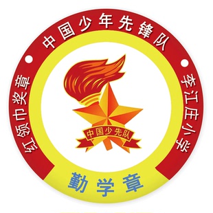 班干部徽章学生班委课代表小组长徽章奖励勋章班长胸牌定制少先队