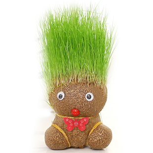 营养猫草娃娃可爱草头娃懒人猫草罐头去毛球助消化水培植物猫零食