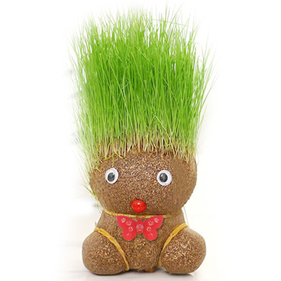 可爱猫草娃娃懒人薄荷去毛球