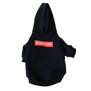 猫咪狗狗猫衣服秋季薄款公猫帅气宠物英短蓝猫猫猫冬天防掉毛可爱